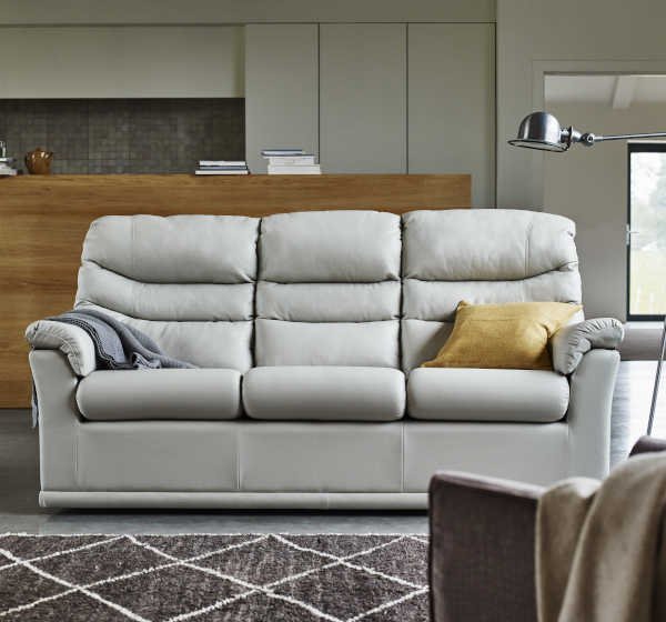 Order G Plan sofas in leather